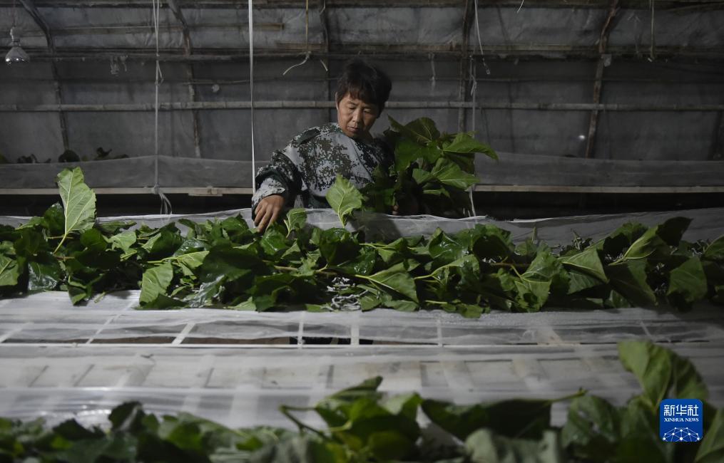 捕鱼游戏赚钱换人民币